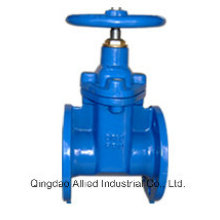 BS 5163 Non Rising Stem Resilient Seated Gate Valve